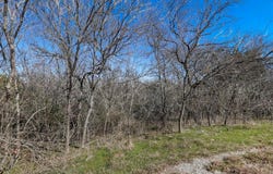 38107 Misty Ridge Drive, Whitney, TX 76692