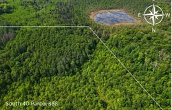 121.49 Acres Forest Road 602, Butternut, WI 54514