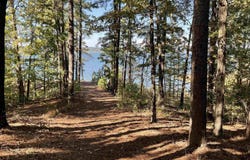 1145 Christopher Drive, Quitman, AR 72131