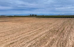 422 S Leonard Avenue, Sanger, CA 93657