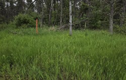 10 Acres 25th Street, Necedah, WI 54646