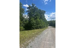 Buckeye Lane lot: 2, Wilder, TN 38589