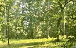 11810 County Road 9, West Blocton, AL 35184