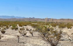 C 128 Private Rd, Terlingua, TX 79852