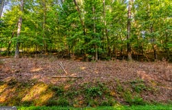 520 Villa, Ellijay, GA 30540