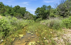 4320 Dobbs Valley Road, Millsap, TX 76066