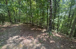 Lot 91 NE Muslin, Ranger, GA 30734