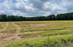 00 Fire Tower Road, Rose Hill, NC 28458