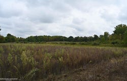 Gale Road, Morrice, MI 48857