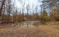 9 BEAR CREEK, Amity, AR 71921