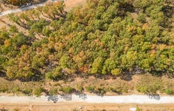 Lot 24 Peaceful  PL, Harrison, AR 72601