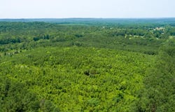 BLANTON Rd, Oakman, AL 35579