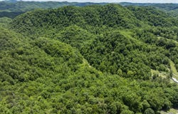 Tbd Lick Creek Drive, Fort Blackmore, VA 24250