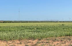 4643 County Rd 267, Snyder, TX 79549