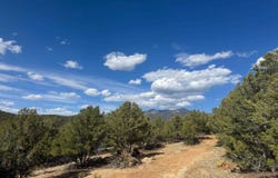 Arroyo Hondo, NM 87513