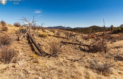 E Path, Cotopaxi, CO 81223