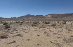 9335 Via Segundo, Silver Springs, NV 89429