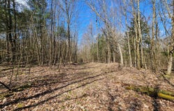 0WP County Road 32, Greene, NY 13778
