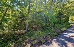 Cyclone Road, Cadet, MO 63630