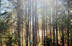Lot 5 Falcon Ridge DR, Gretna, VA 24557