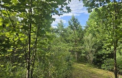 Tract 1 Grassy Knob Road, Robbins, TN 37852