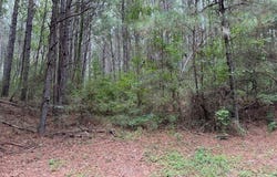 Cemetery Road, Tylertown, MS 39667