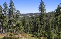57xx S Corkery Rd, Spokane, WA 99223