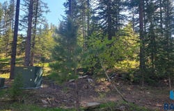 Whitetail Dr, Lead, SD 57754