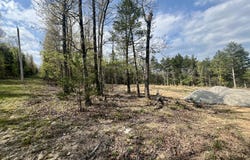 155 Lake Terrace Road, Kissee Mills, MO 65680