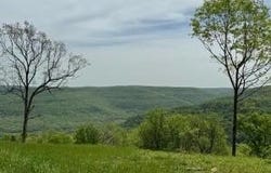 Tract F AR 7 South, Jasper, AR 72641