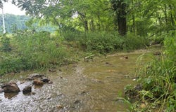 101 County Road 389, Whitewater, MO 63785