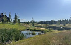 910 DUSTY MAIDEN Court, Driggs, ID 83422