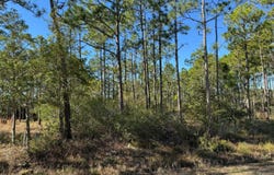 100 Bridges Road, Southport, NC 28461