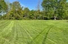 3598 Township Rd 124, Mount Gilead, OH 43338