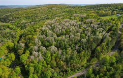 300 Miller Hollow Road, Waverly, NY 14892