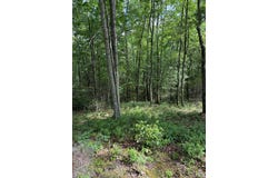 3086 Wyrick Trail, BLAND, VA 24315