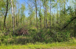 186TH AVENUE, Boyd, WI 54726
