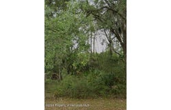5980 N Summerlake Point, Crystal River, FL 34428