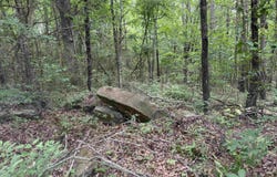 NO. BROADWAY Street, Heber Springs, AR 72543