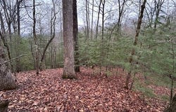 Lot 12a Oak Loop, Mineral Bluff, GA 30559