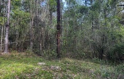 19 Bucaneer Cr, Carriere, MS 39426