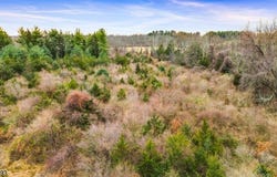 11 Springtown Rd, Readington Twp., NJ 08822