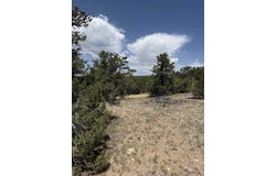 Bret Hale Road, Valdez, NM 87580