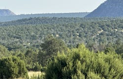 County Road B528A, Bernal, NM 87701