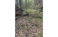 0 Pine Mountain Road, Rogersville, TN 37857
