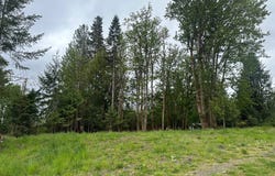 Oregon Tax ID 436205 AVE, Vernonia, OR 97064