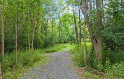 165 Cleveland Road, Sloansville, NY 12031