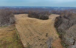State Route 58 W, Mayfield, KY 42066