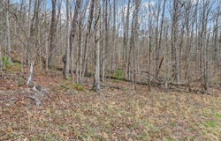 Choctaw Dr lot: 1B, Jamestown, TN 38556
