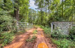 TBD State Hwy 21 East, San Augustine, TX 75972